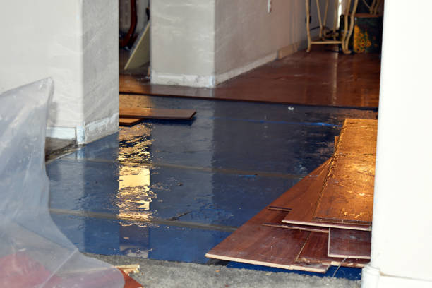 Professional Basement Flood Cleanup technician working in Pine Brook, NJ